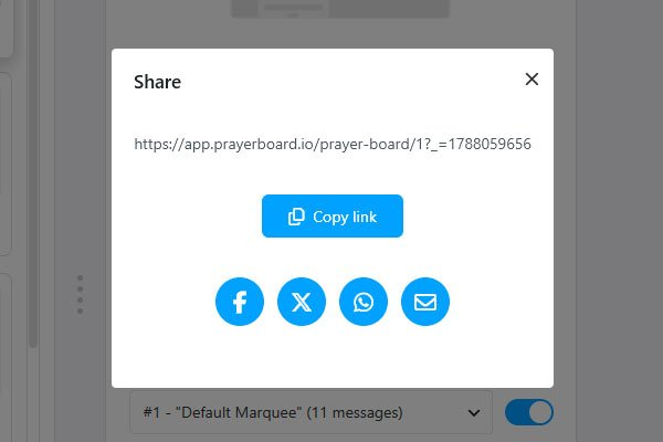Public display URL